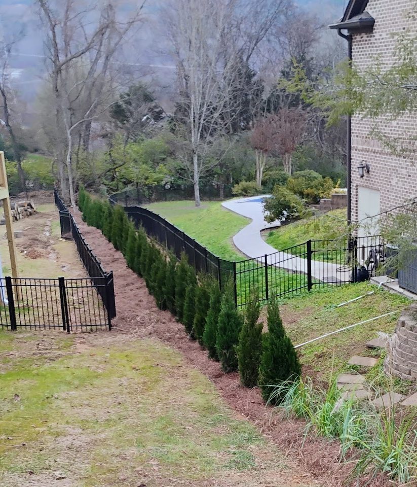 Tree removal and planting project completed by Kaizenscapes in Canton GA