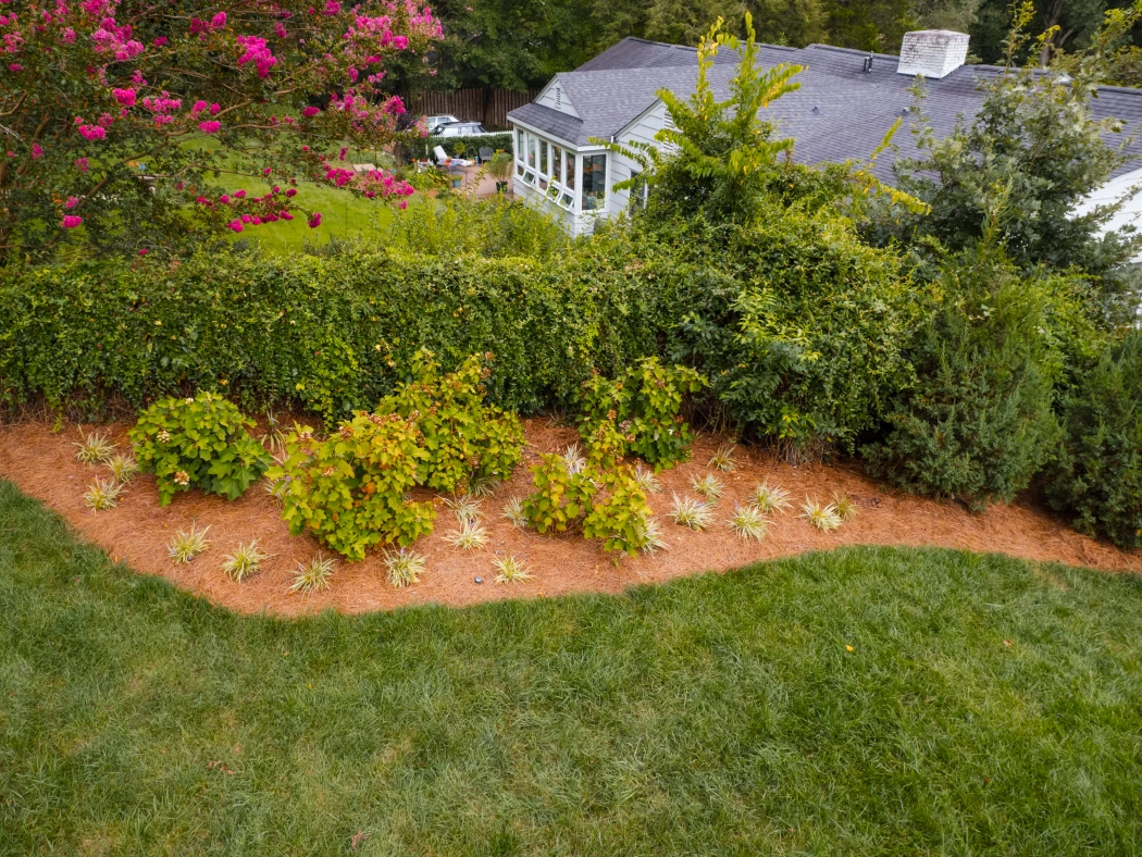 When Woodstock Homeowners Should Remove Trees Before a Landscape Project — And What Happens to the Grade After