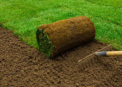 Zoysia vs. Bermuda vs. Fescue — Which Grass Type Is Right for a North Georgia Yard