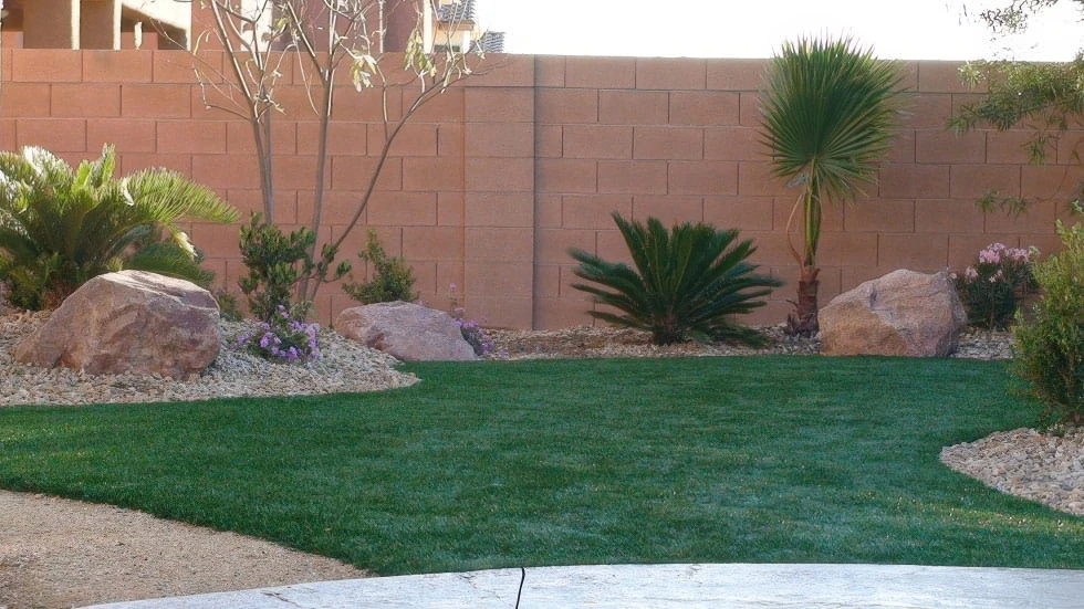 Why Roswell Homeowners Are Choosing Natural Stone for Their Pool Decks — What the Material Actually Delivers