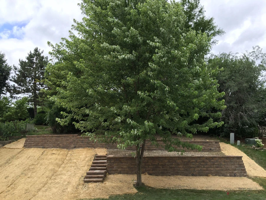Suwanee paver walkway with stone columns and night lighting